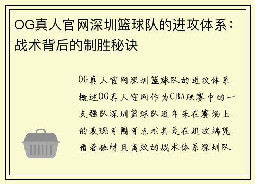 OG真人官网深圳篮球队的进攻体系：战术背后的制胜秘诀